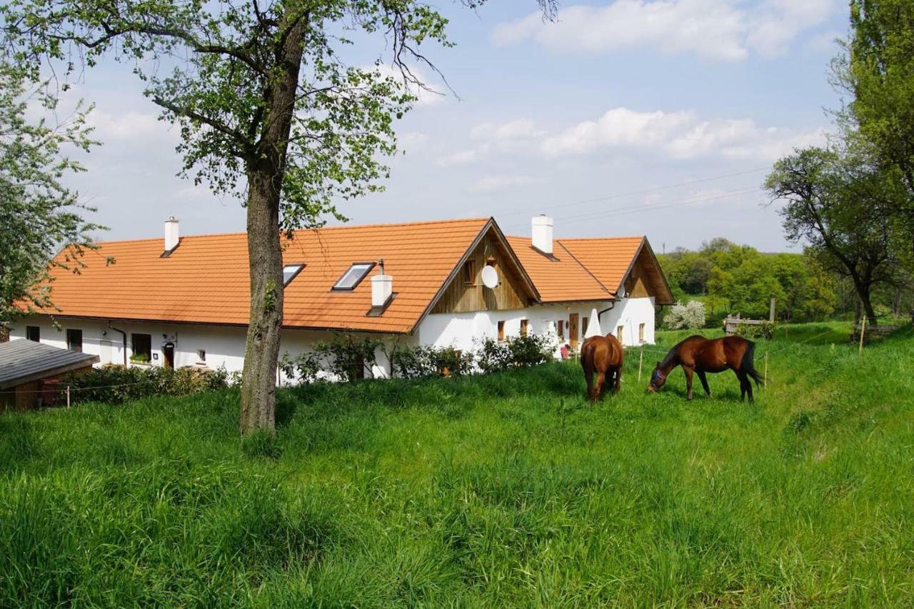 Wundervoll Eben - Chalets & Plaetze Voller Wunder - Notschkerl & Feinis Waasen Esterno foto
