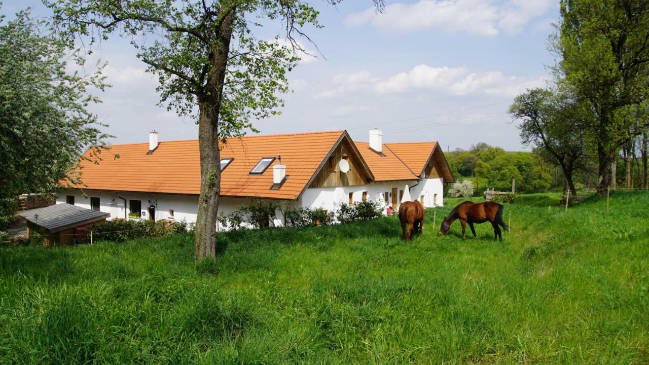 Wundervoll Eben - Chalets & Plaetze Voller Wunder - Notschkerl & Feinis Waasen Esterno foto